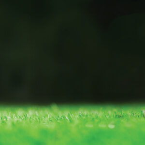 Day of Golf Tee Sign